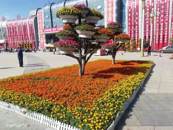 樹(shù)木成活率不高？這些養(yǎng)護(hù)技術(shù)要知道